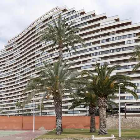 Florazar 2, Vi-1-b Cullera