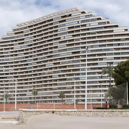 Florazar 2, Vi-1-b * Cullera